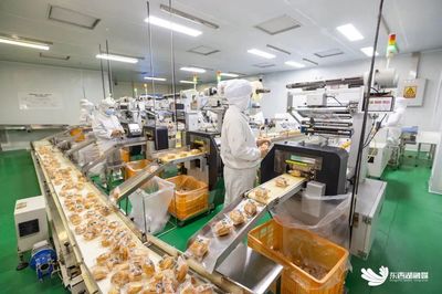 區內企業投資管理 策略、挑戰與優化路徑